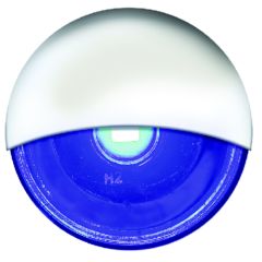 LED Mini Accent Livewell Light Blue