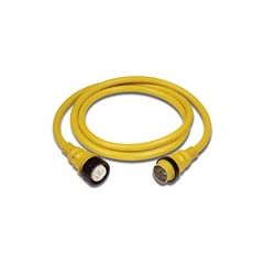 Power Cord 50A 125/250V 12'