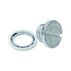 Gear Case Drain Screw