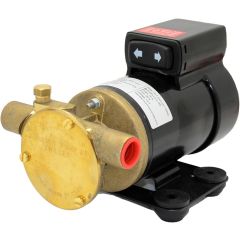 Oil Change Pump 12V Johnson F3B-19